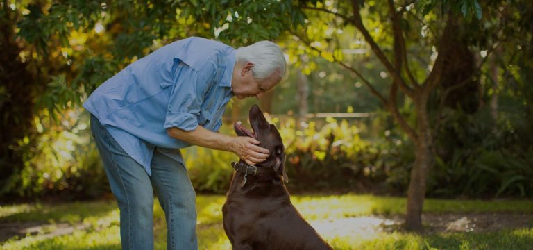 The Top 5 Benefits of Pets for Aging Adults