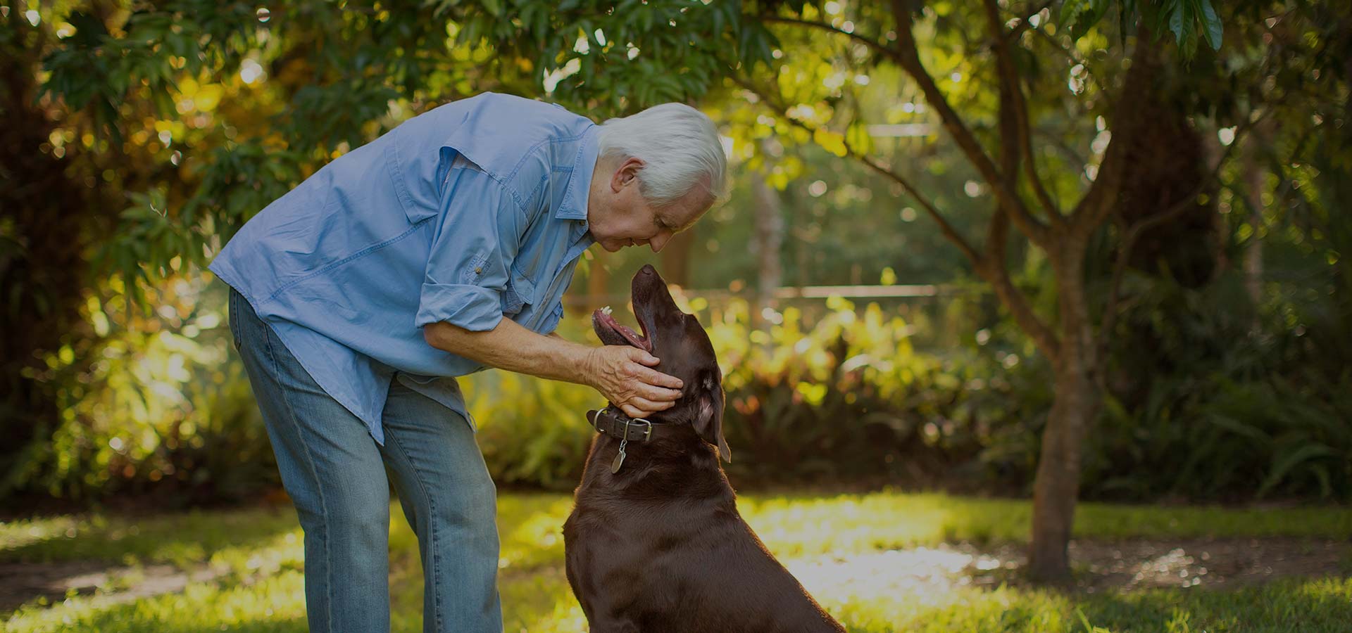How Dogs Can Help Ease Loneliness and Depression for Seniors Caring Village
