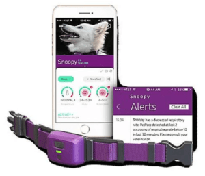 Best GPS Trackers for Pets - PetPace Smart Collar