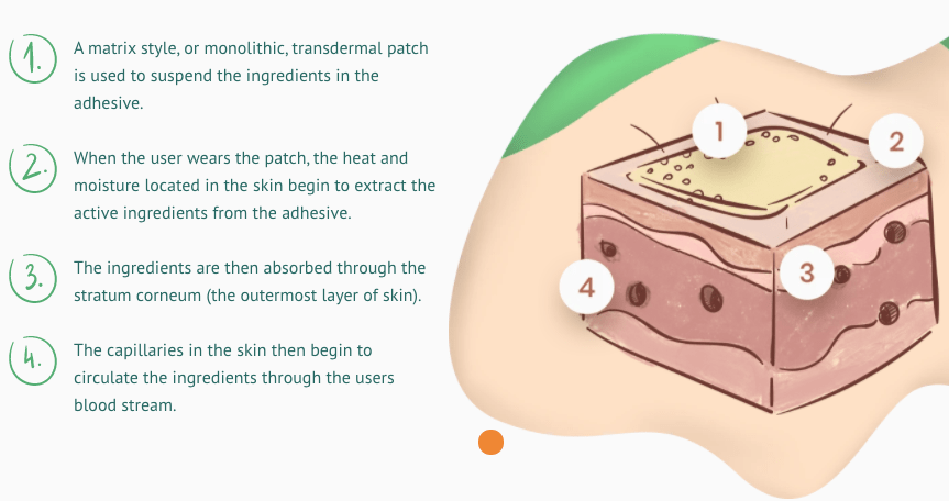 Transdermal Vitamin Patch